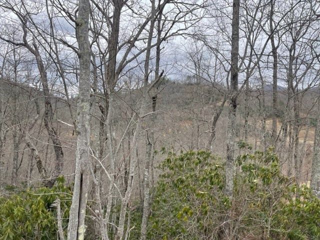 41 Mystic Ridge Way W, Topton, NC 28781