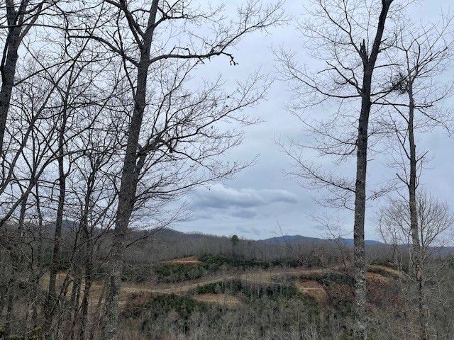 41 Mystic Ridge Way W, Topton, NC 28781