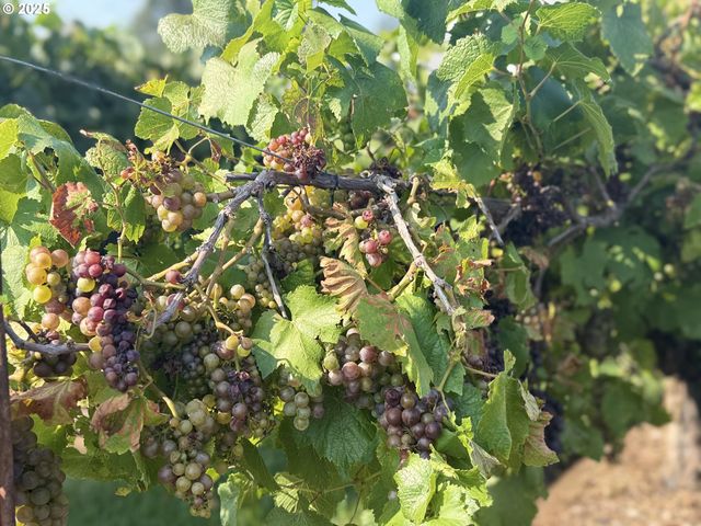 18047 Sw Howlock Ave, Beaverton, OR 97007