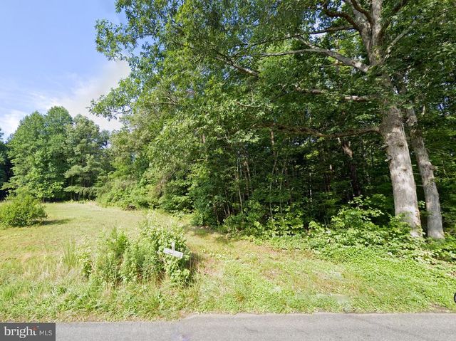 16398 MOUNTAIN TRACK RD, Orange, VA 22960