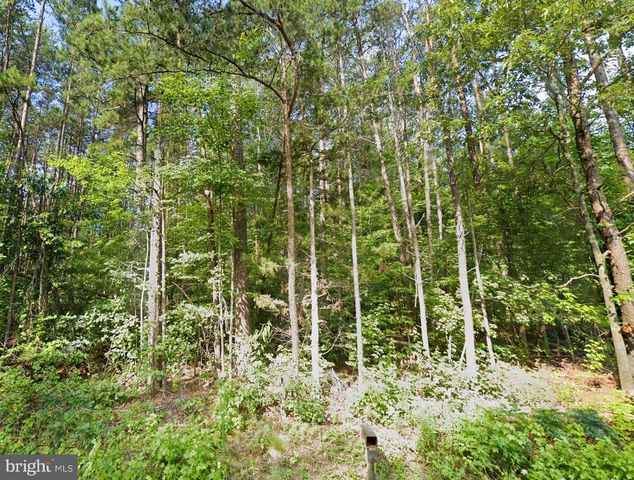 16398 MOUNTAIN TRACK RD, Orange, VA 22960