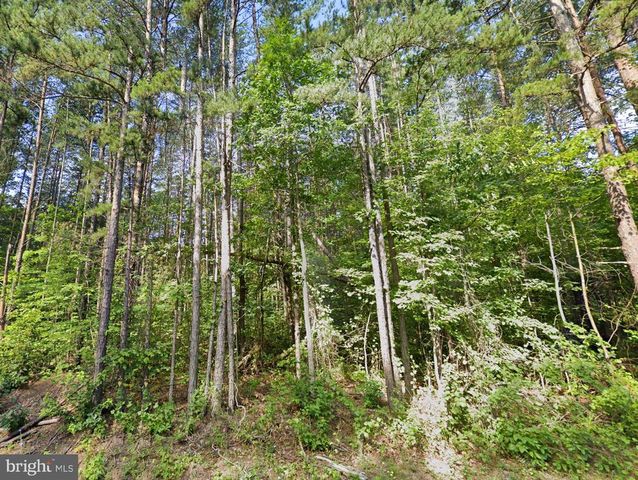 16398 MOUNTAIN TRACK RD, Orange, VA 22960