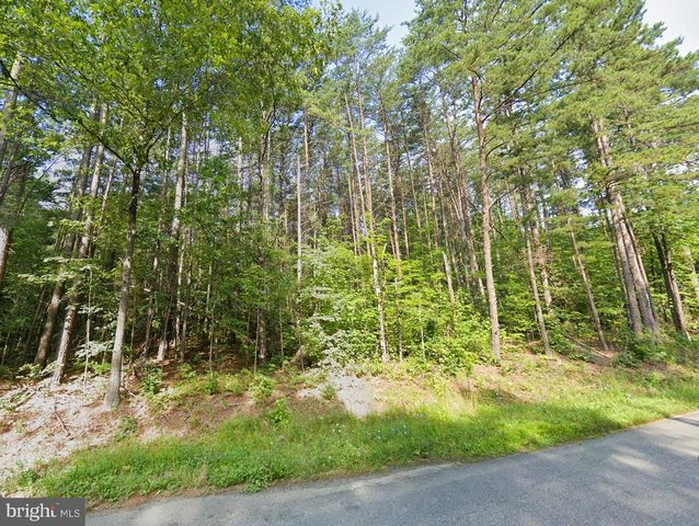 16398 MOUNTAIN TRACK RD, Orange, VA 22960