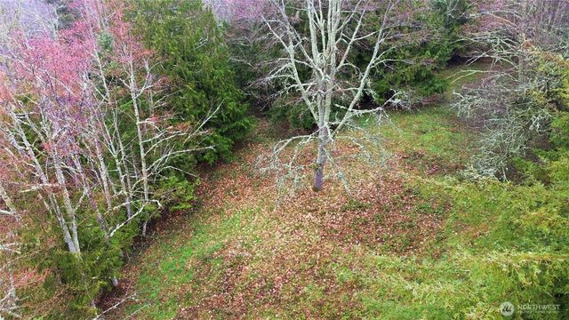 0 Wesner Street, Buckley, WA 98321