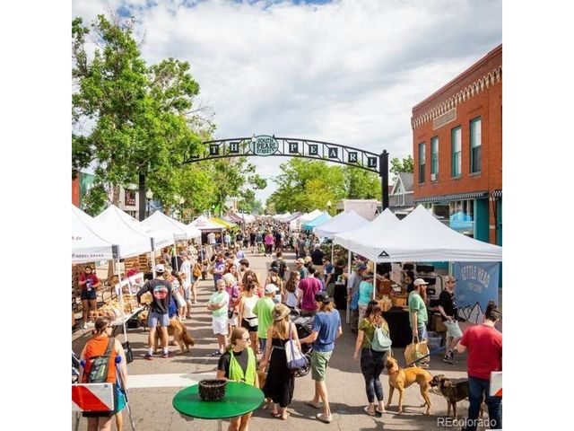 1357 S Grant St, Denver, CO 80210
