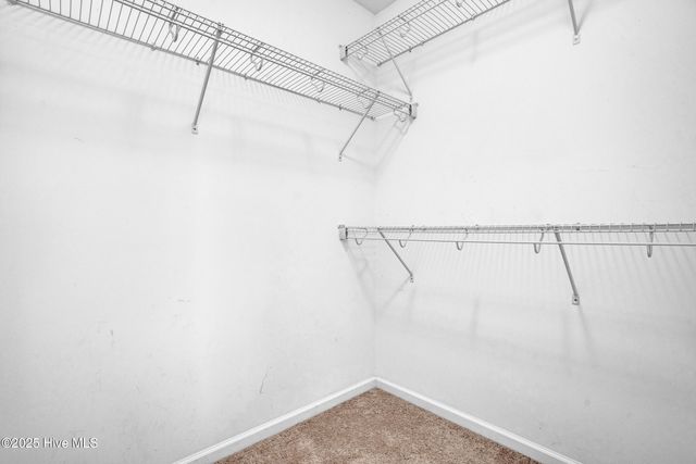 828 Emerald Park Drive, Winterville, NC 28590