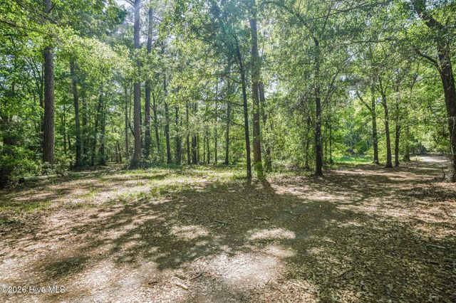 195 Long Leaf Drive, Wallace, NC 28466