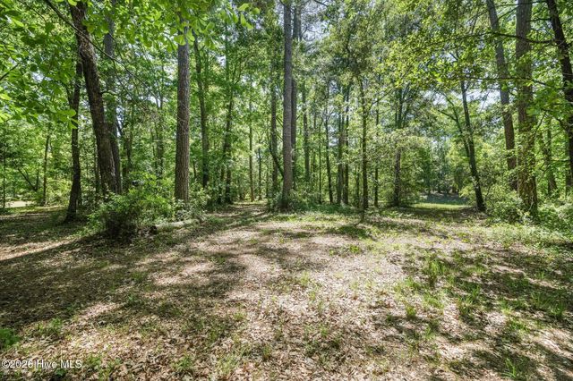 195 Long Leaf Drive, Wallace, NC 28466