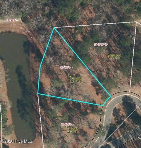 195 Long Leaf Drive, Wallace, NC 28466