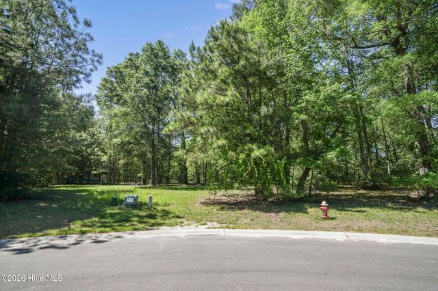 195 Long Leaf Drive, Wallace, NC 28466
