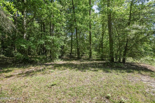 195 Long Leaf Drive, Wallace, NC 28466