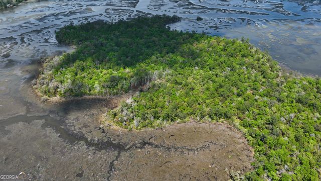 0 Simons Bluff Road, Woodbine, GA 31569