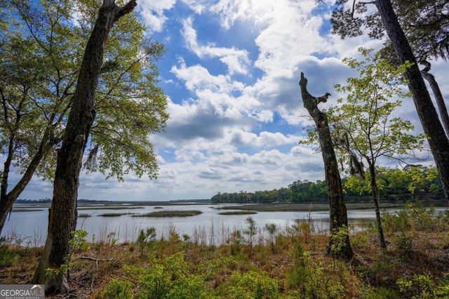 0 Simons Bluff Road, Woodbine, GA 31569