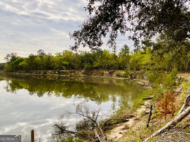 0 Simons Bluff Road, Woodbine, GA 31569