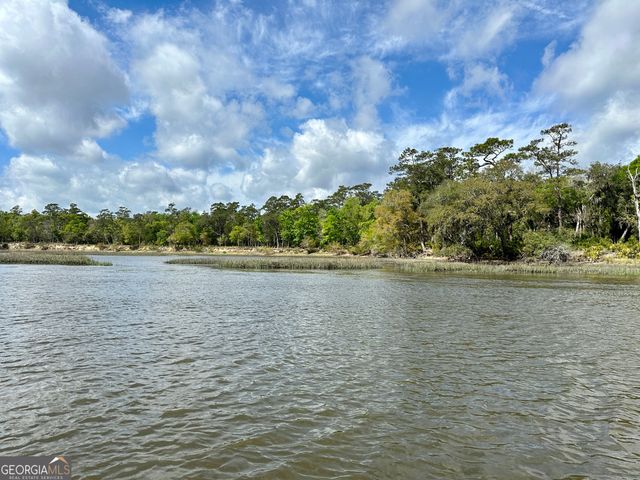 0 Simons Bluff Road, Woodbine, GA 31569