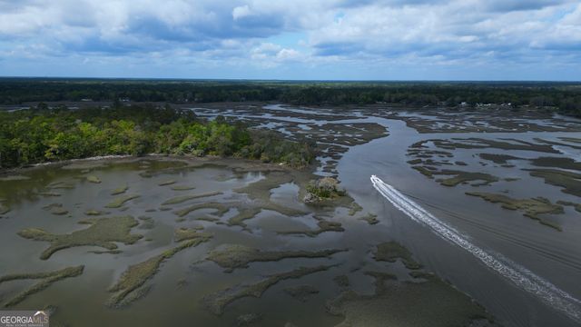 0 Simons Bluff Road, Woodbine, GA 31569