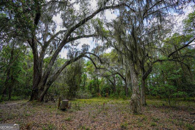 0 Simons Bluff Road, Woodbine, GA 31569