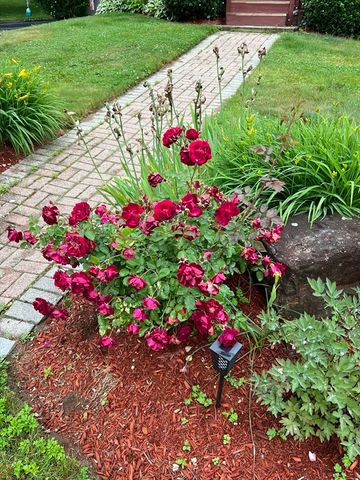 31 Glen Echo Shore Rd, Charlton, MA 01507
