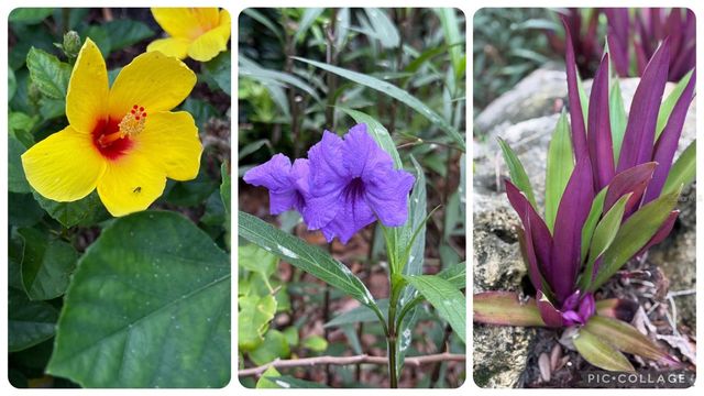 156 BISHOPSCOURT ROAD, Osprey, FL 34229