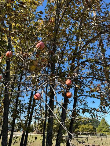 6553 Private Road 2270, Quinlan, TX 75474