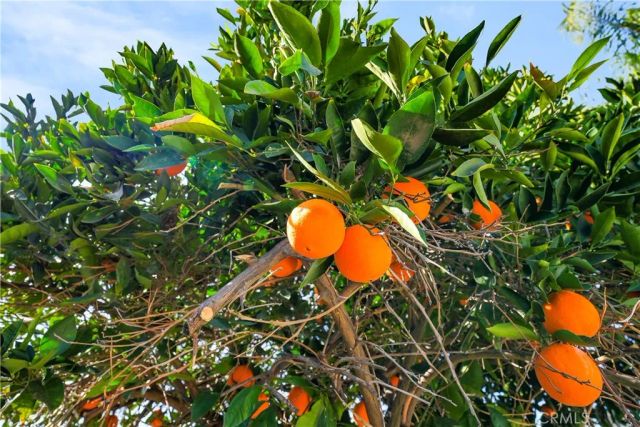 29791 Avenida De Real, Menifee, CA 92586