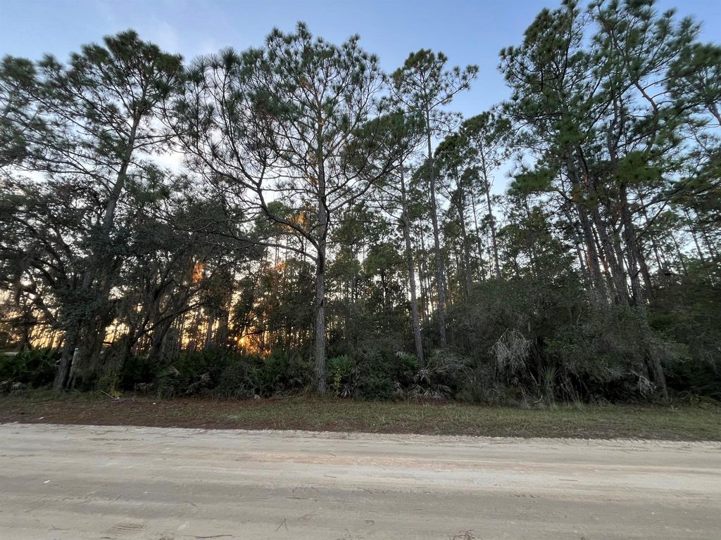 Tbd Royal Avenue, Interlachen, FL 32148