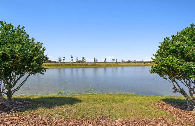 6741 MICHAEL FAVOR WAY, Wesley Chapel, FL 33545