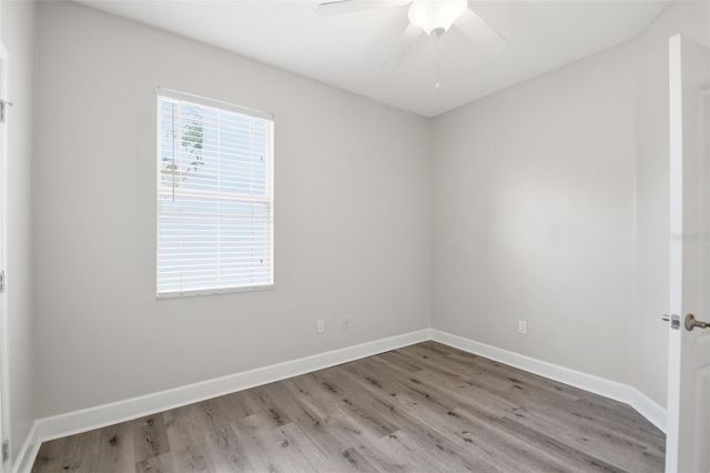 211 S WESTLAND AVENUE 1, Tampa, FL 33606