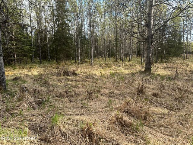 Tract 2-B Funny River Road, Soldotna, AK 99669