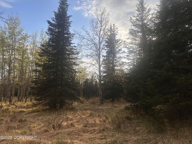 Tract 2-B Funny River Road, Soldotna, AK 99669