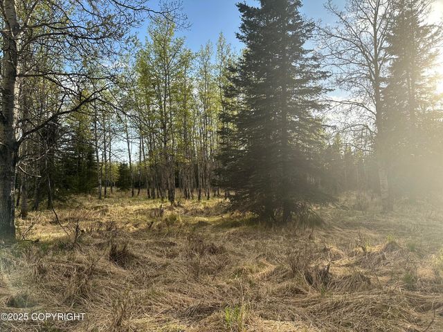 Tract 2-B Funny River Road, Soldotna, AK 99669