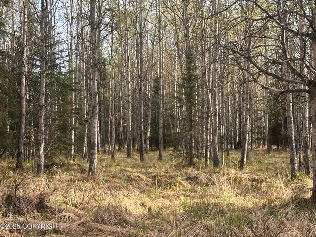 Tract 2-B Funny River Road, Soldotna, AK 99669
