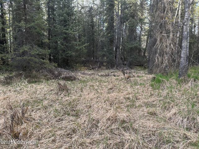 Tract 2-B Funny River Road, Soldotna, AK 99669