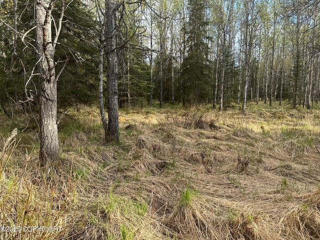 Tract 2-B Funny River Road, Soldotna, AK 99669