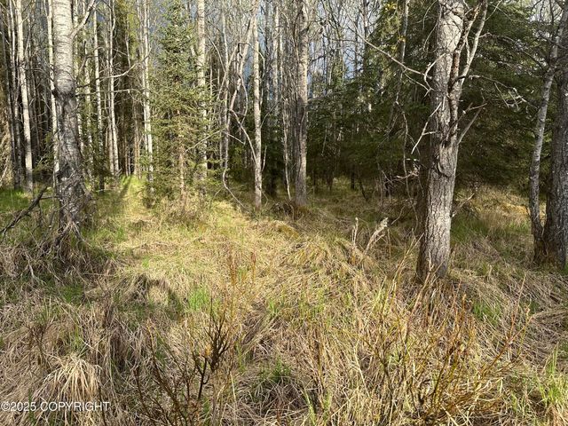 Tract 2-B Funny River Road, Soldotna, AK 99669