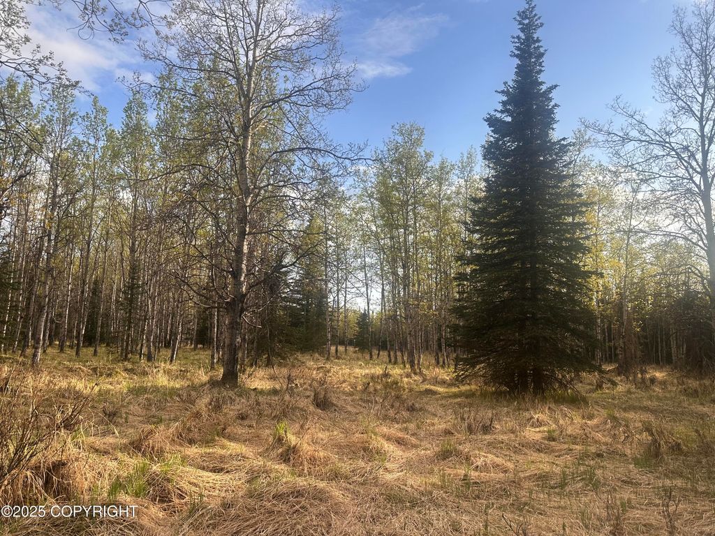 Tract 2-B Funny River Road, Soldotna, AK 99669