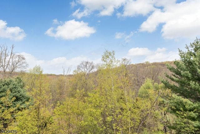 432 ROCK RIDGE ROAD, Jefferson Twp., NJ 07849