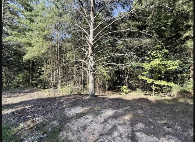 0 Arthur Ct, Waverly, TN 37185