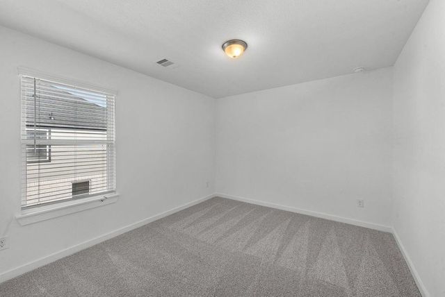 509 Fire Mountain Drive, Waller, TX 77484