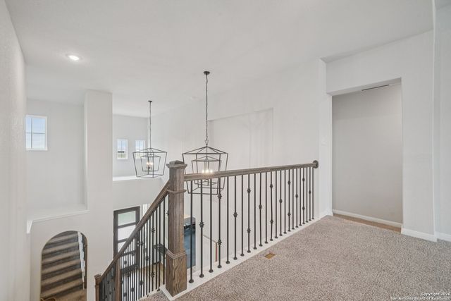 3225 Mountain Mint, New Braunfels, TX 78130