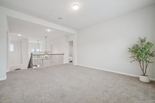 3225 Mountain Mint, New Braunfels, TX 78130