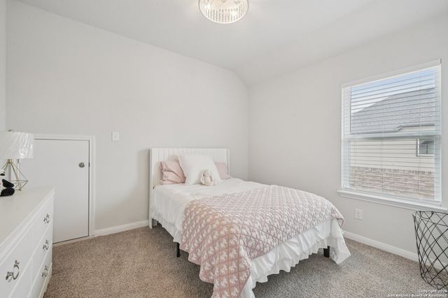 3225 Mountain Mint, New Braunfels, TX 78130