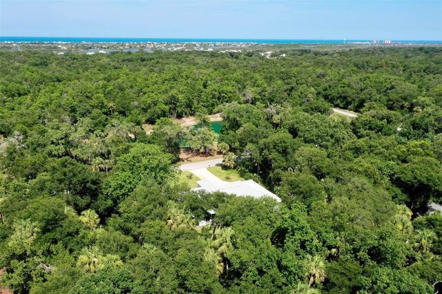 73 BRIDLE RIDGE COURT, Flagler Beach, FL 32136