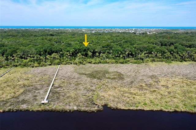 73 BRIDLE RIDGE COURT, Flagler Beach, FL 32136