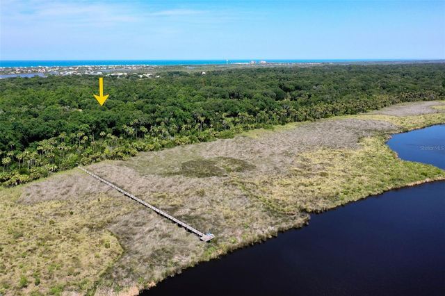73 BRIDLE RIDGE COURT, Flagler Beach, FL 32136