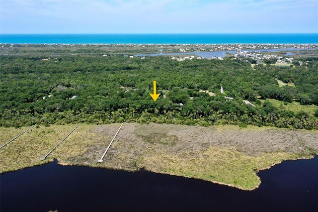 73 BRIDLE RIDGE COURT, Flagler Beach, FL 32136