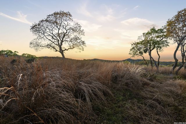 1429 Kendall Jackson, Comfort, TX 78013