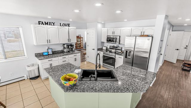 203 Elderberry Drive, Fruita, CO 81521