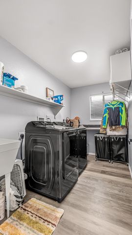 203 Elderberry Drive, Fruita, CO 81521