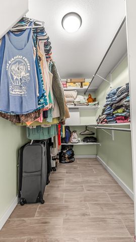 203 Elderberry Drive, Fruita, CO 81521